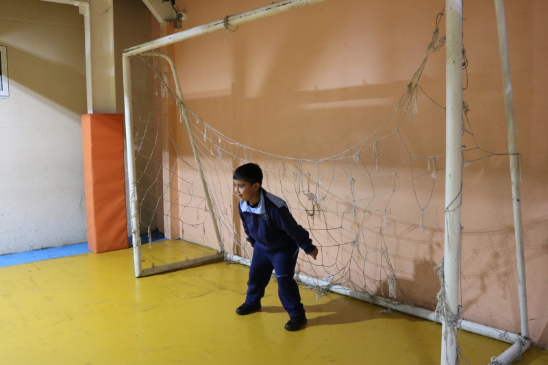 Día de la Actividad Física